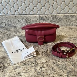 Coach pillow tabby 18